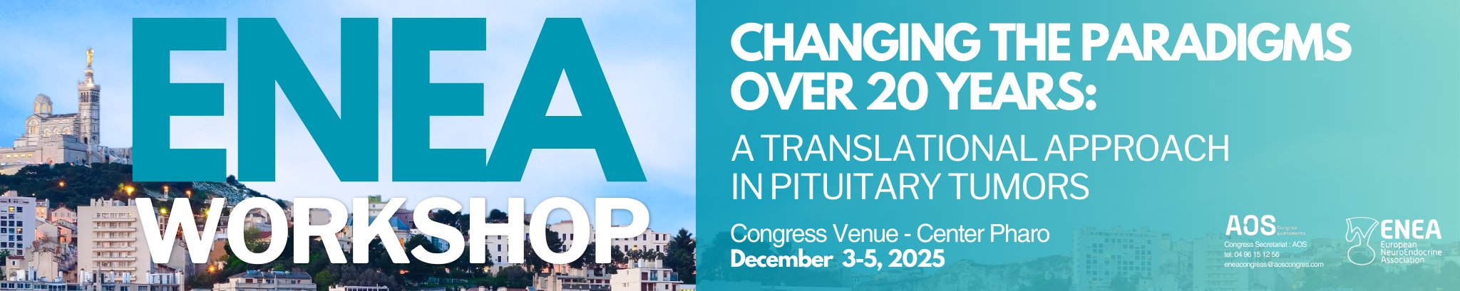 ENEA Workshop 2025